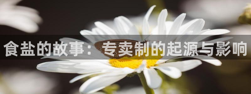 威九国际v96bet下载