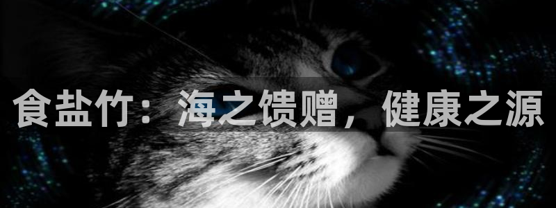 威九国际app网站