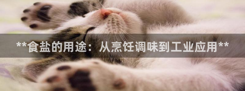 威九国际网站进入公司不断创新