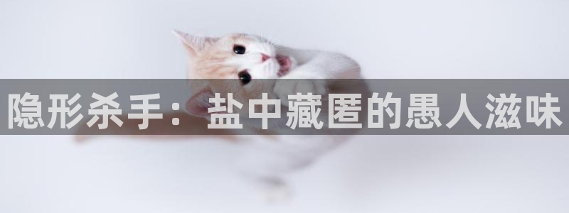 保定威九网络科技有限公司
