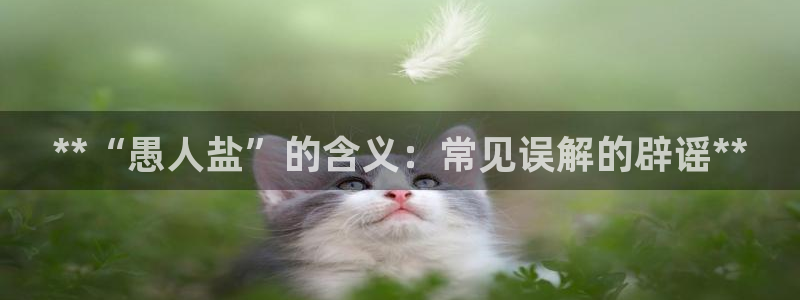 威九国际后爸