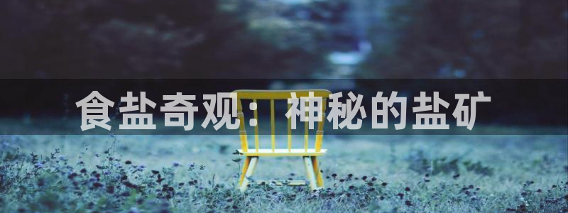 威九国际m78