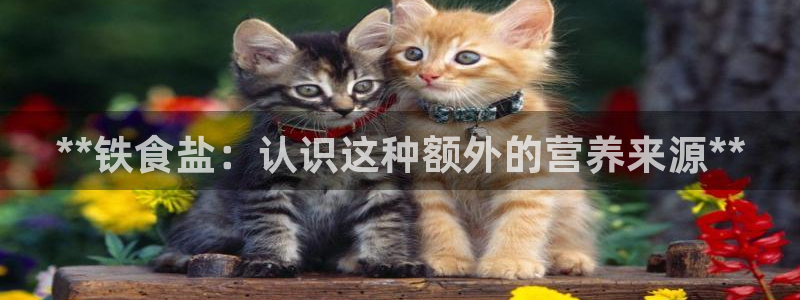 威九国际最近的视频