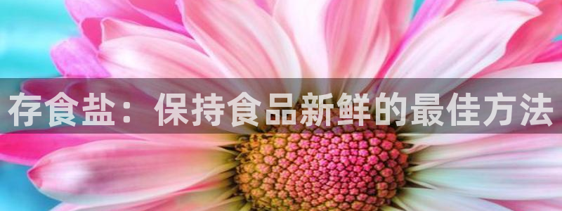 威九国际合作伙伴有哪些