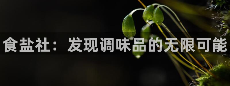 威九国际66m入口