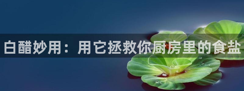 威九国际78免下载