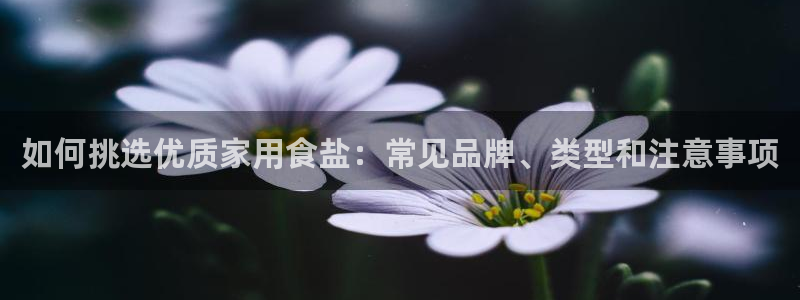威九国际软件
