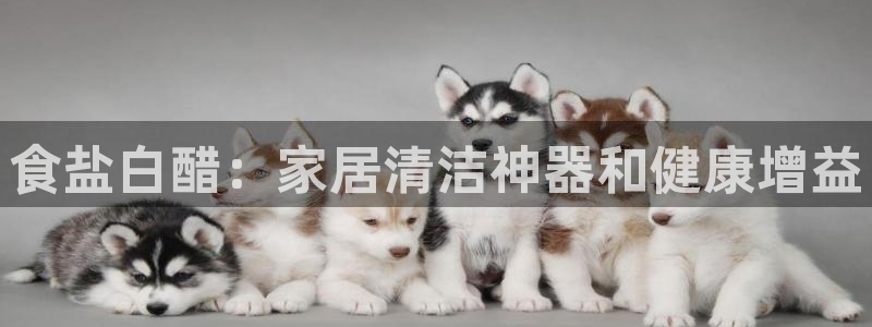 威九国际的金融服务