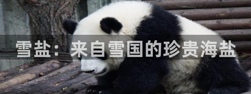 78mapp威九国际官网版