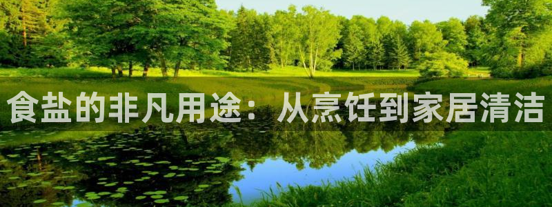 威九国际fX8x