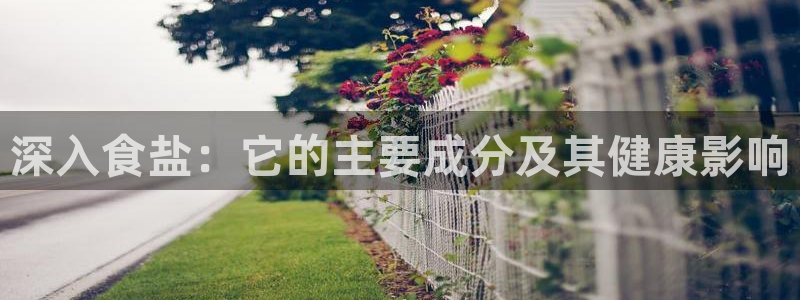 威九国际app大全下载安装