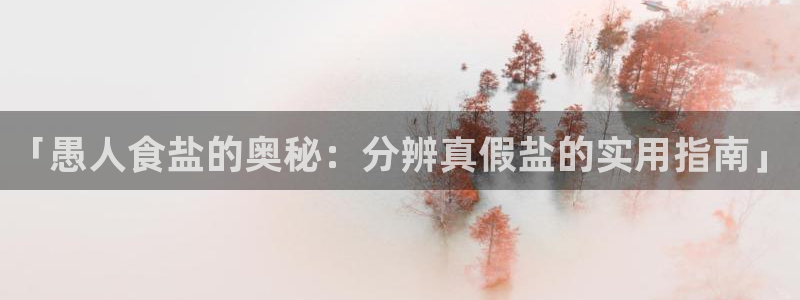 威九国际网站传媒招聘