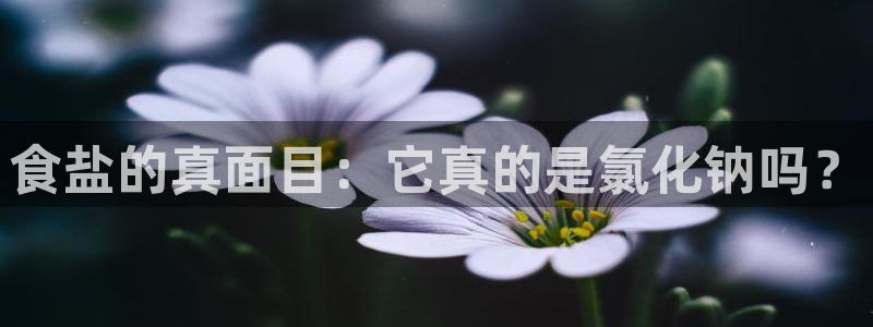 威九国际网站入口官网免费下载
