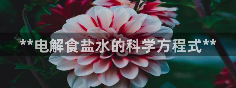 威九国际APP下载