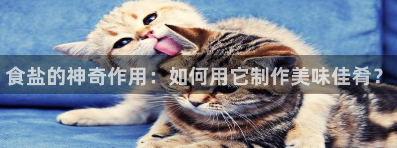 威九国际免费ppt网址