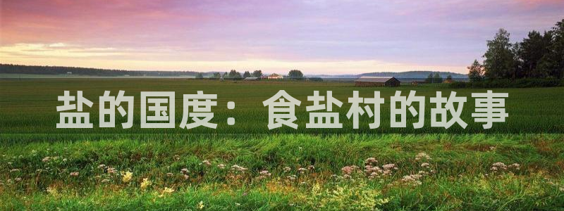 威九国际78ma
