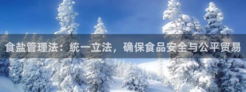 威九国际清砖码头怎么样