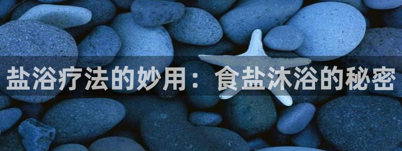 威九国际小说