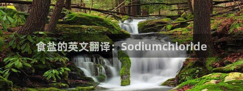 威九国际能提现吗现在
