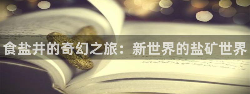 威九国际韩国