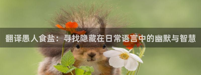 78mapp威九国际官网