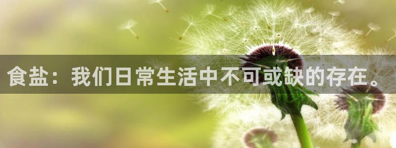 威九国际com