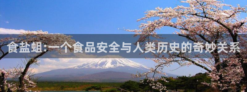 78m.ppt威九国际官网版