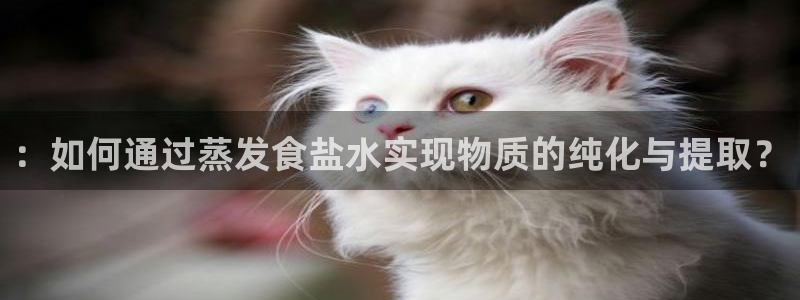 威九国际网站客服电话多少