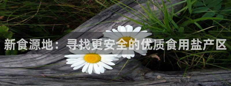 威九国际地址