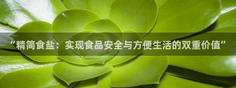 威九国际v96BET：“精简食盐：实现食品安全与方便生活的双