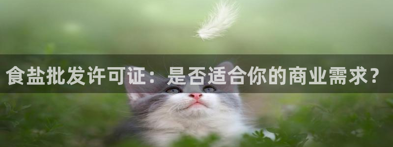 威九国际78mb玩法