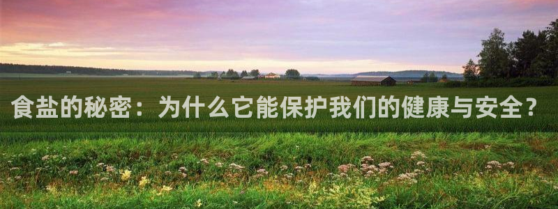 威九国际66m66m