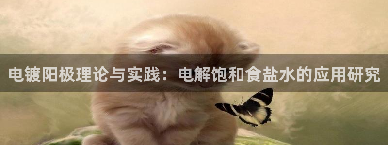威九国际网站