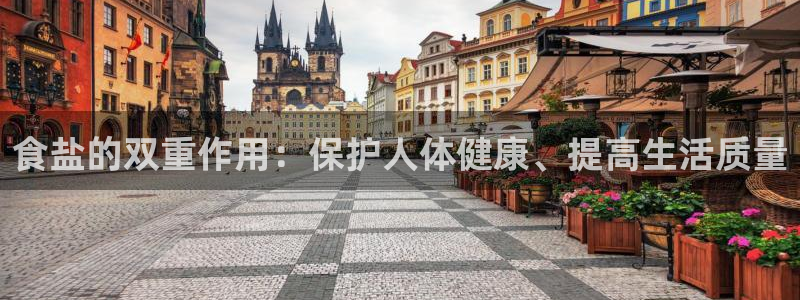 威九国际人民网招聘