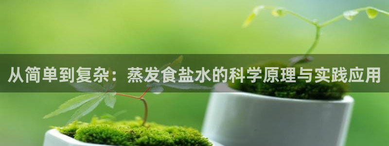 威九国际如何下载