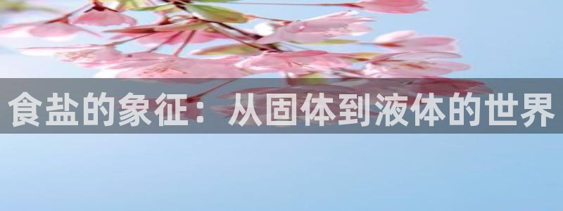 威九国际网站客服电话多少号码