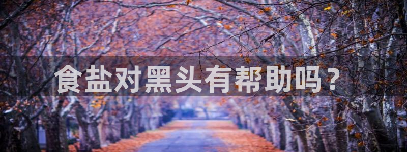 威九国际系列