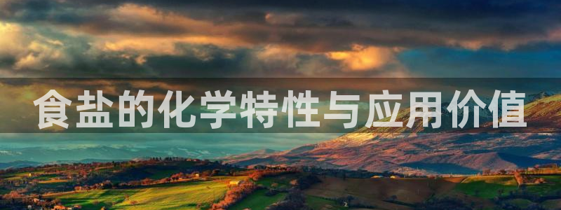 保定威九网络科技有限公司怎么样