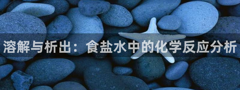 威九国际人民网招聘