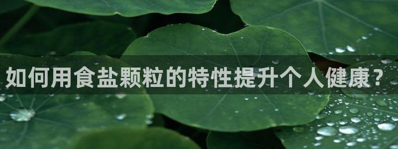 威九国际韩国