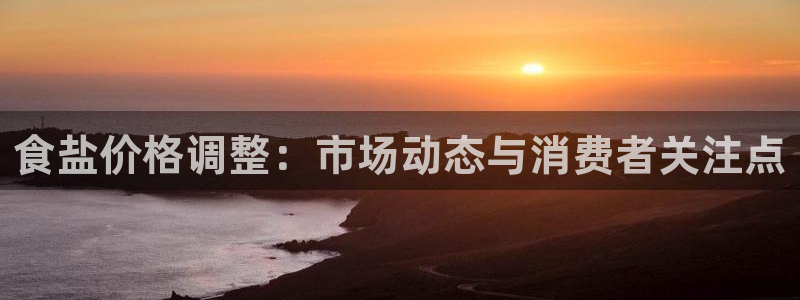 威九国际留学：食盐价格调整：市场动态与消费者关注点