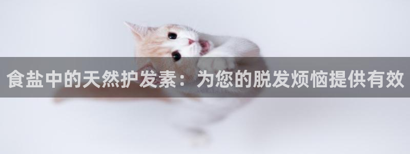 威九国际网站人入口